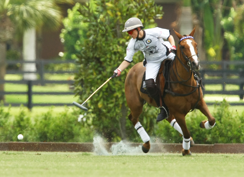 uspa sun cup final pacheco photos polo mag 6