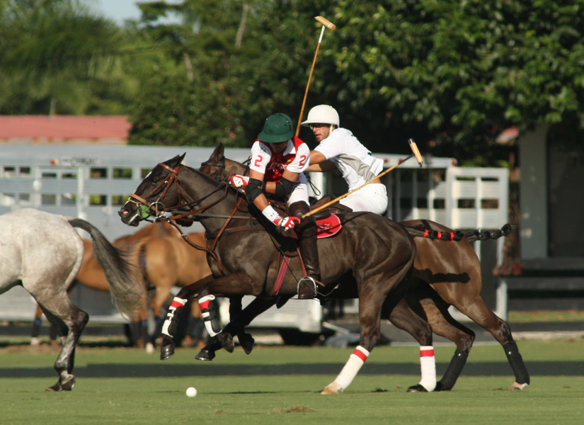 Joe Barry Memorial Cup    Coca-Cola,Palm Beach Illustrated