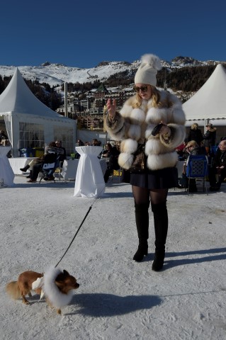 polo-world-cup-on-snow-stmoritz-2016 24063879083 o