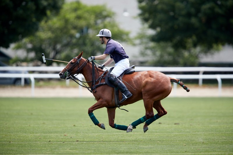 ChrisBrant1PhCHichiUbina