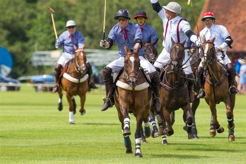 Silver Fox USA v La Mariposa ARG